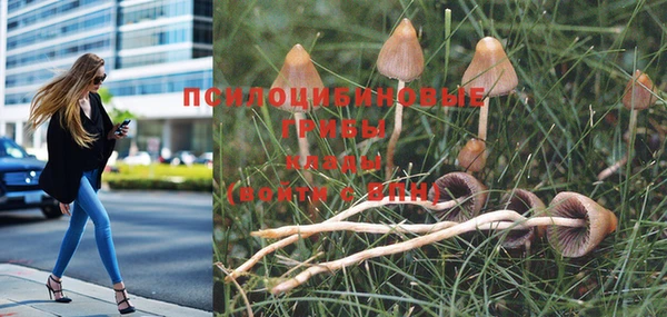 кокаин колумбия Алзамай